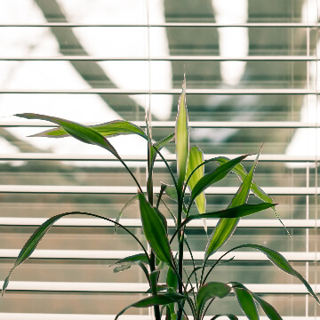 Fenster mit Sonnenschutz